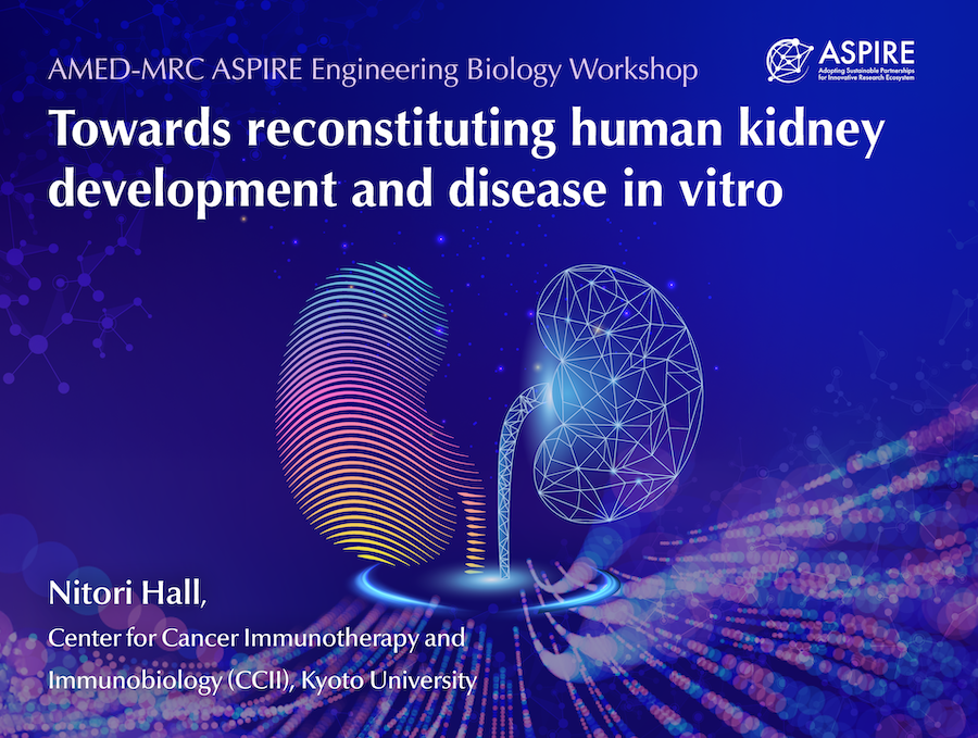 イベントサムネイル