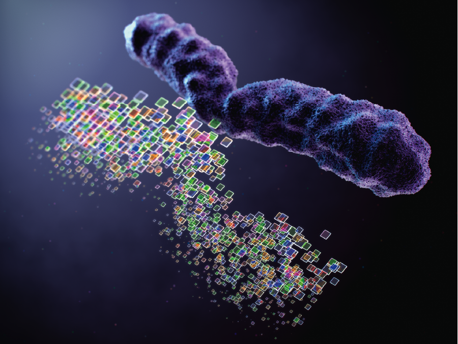 イベントサムネイル