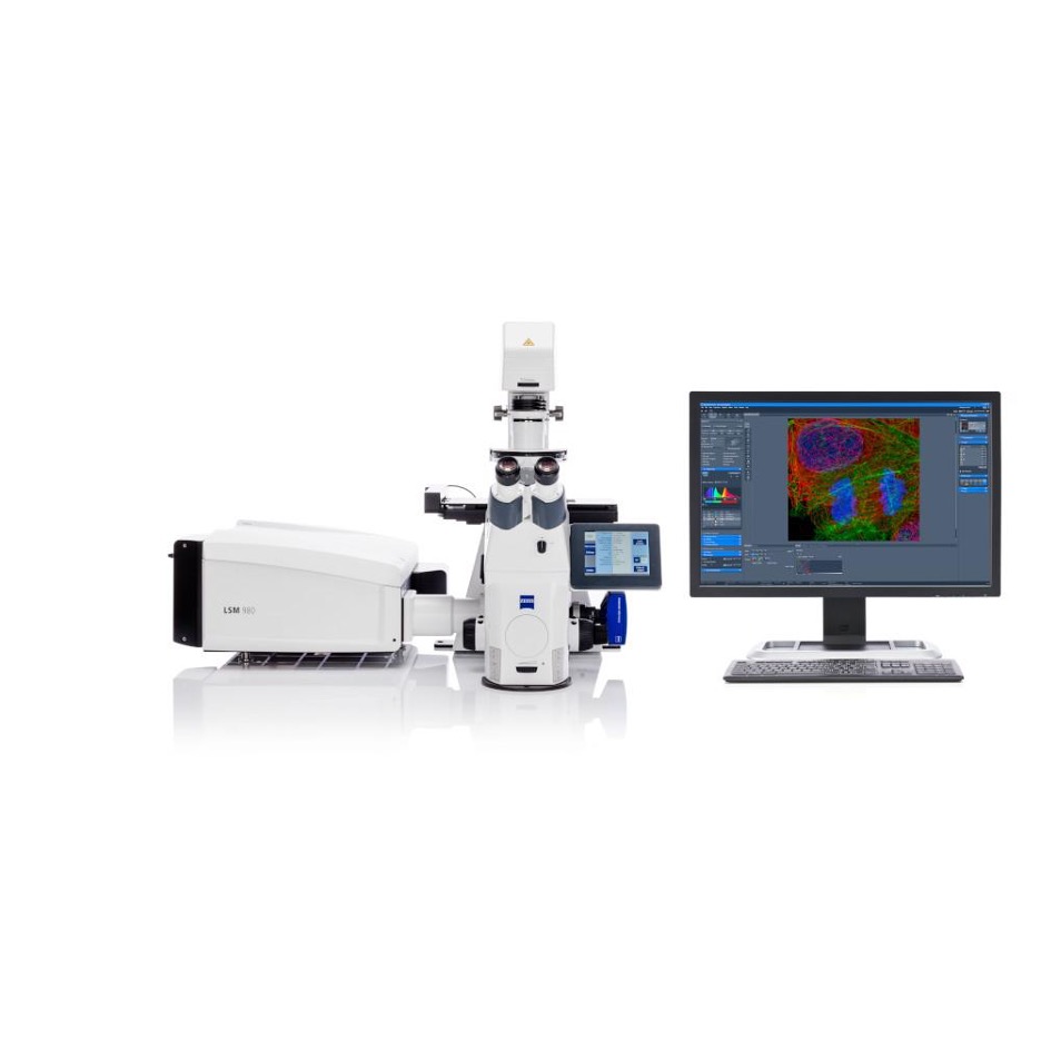 LSM980 Airyscan2 超解像共焦点顕微鏡 (ZEISS)