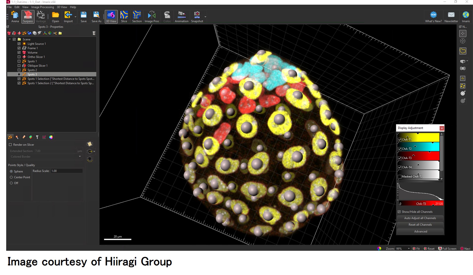 Imaris高精細3D/4D画像解析ソフトウェア（OXFORD Instruments）