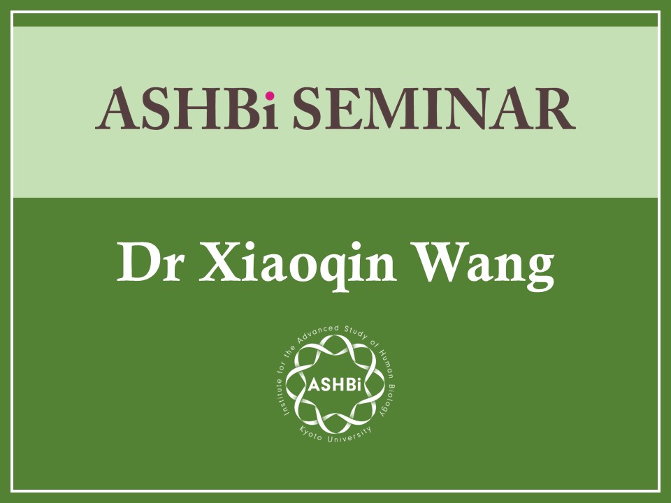 ASHBi Seminar（Xiaoqin Wang 博士）