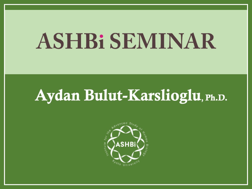 ASHBi Seminar (Dr. Aydan Bulut-Karslioglu)