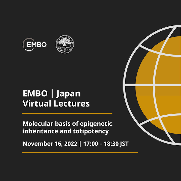【日程確定】EMBO | Japan Virtual Lecturesを開催します