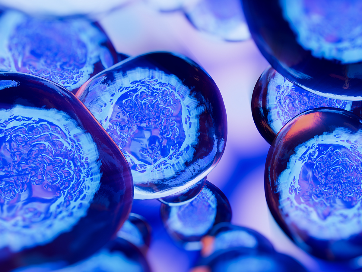 試験管内で培養されるヒト多能性幹細胞由来の胚様構造体を用いた研究の倫理的課題について