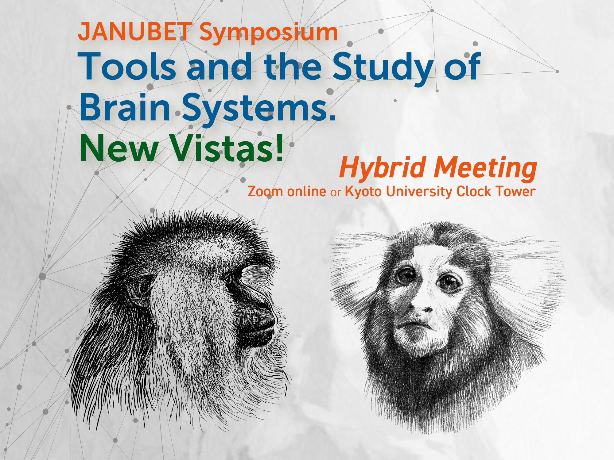JANUBET Symposium: Tools and the Study of Brain Systems. New Vistas!
