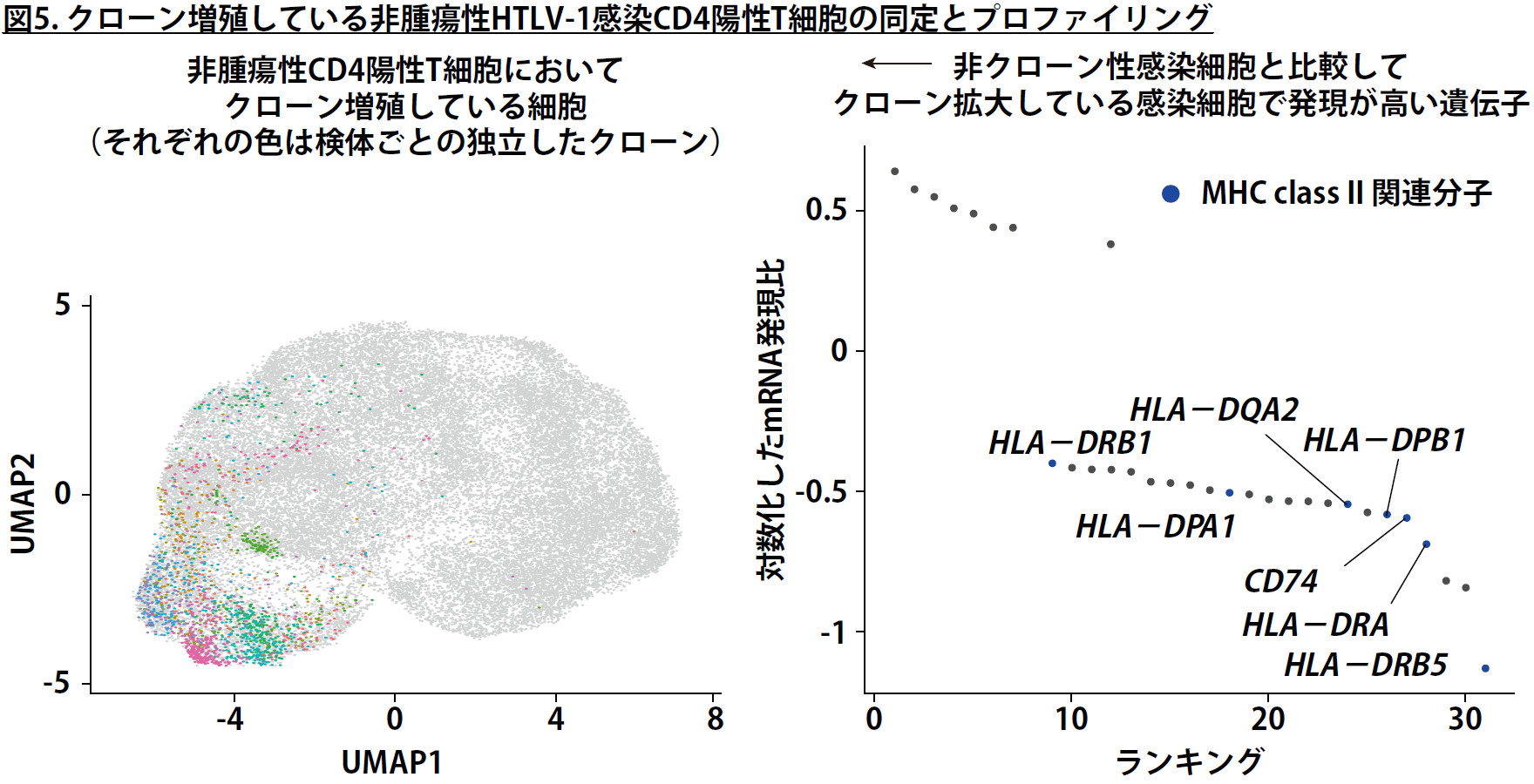 図５　クローン増殖している非腫瘍性HTLV-1感染CD4陽性T細胞の同定とプロファイリング
