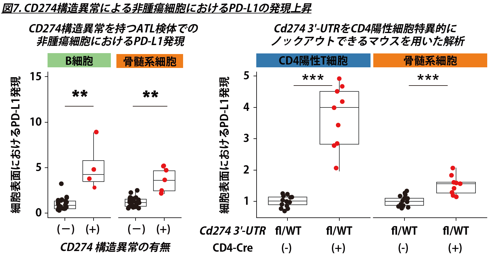 図７　CD274構造異常による非腫瘍細胞におけるPD-L1の発現上昇