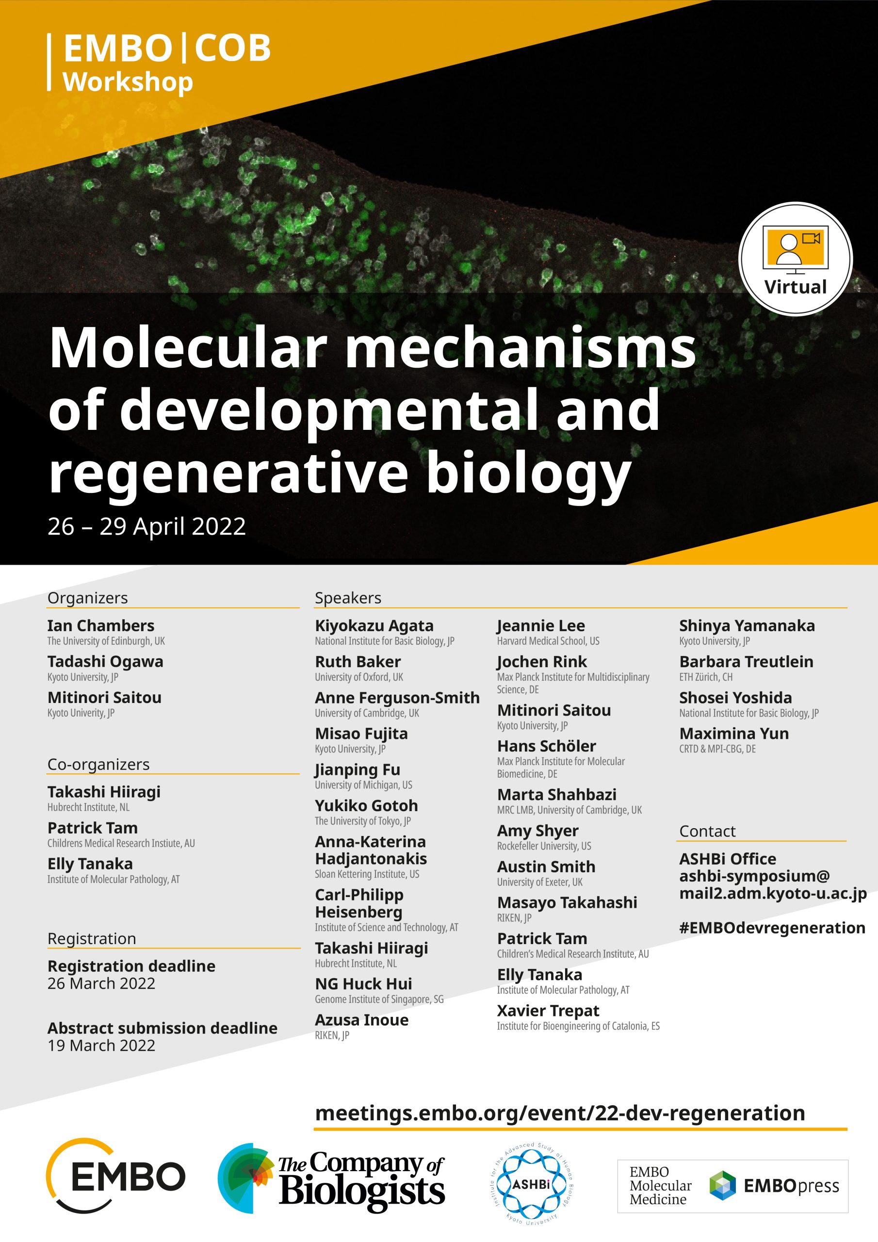 [Event Report] EMBO | The Company of Biologists Workshop: Molecular mechanisms of developmental and regenerative biology