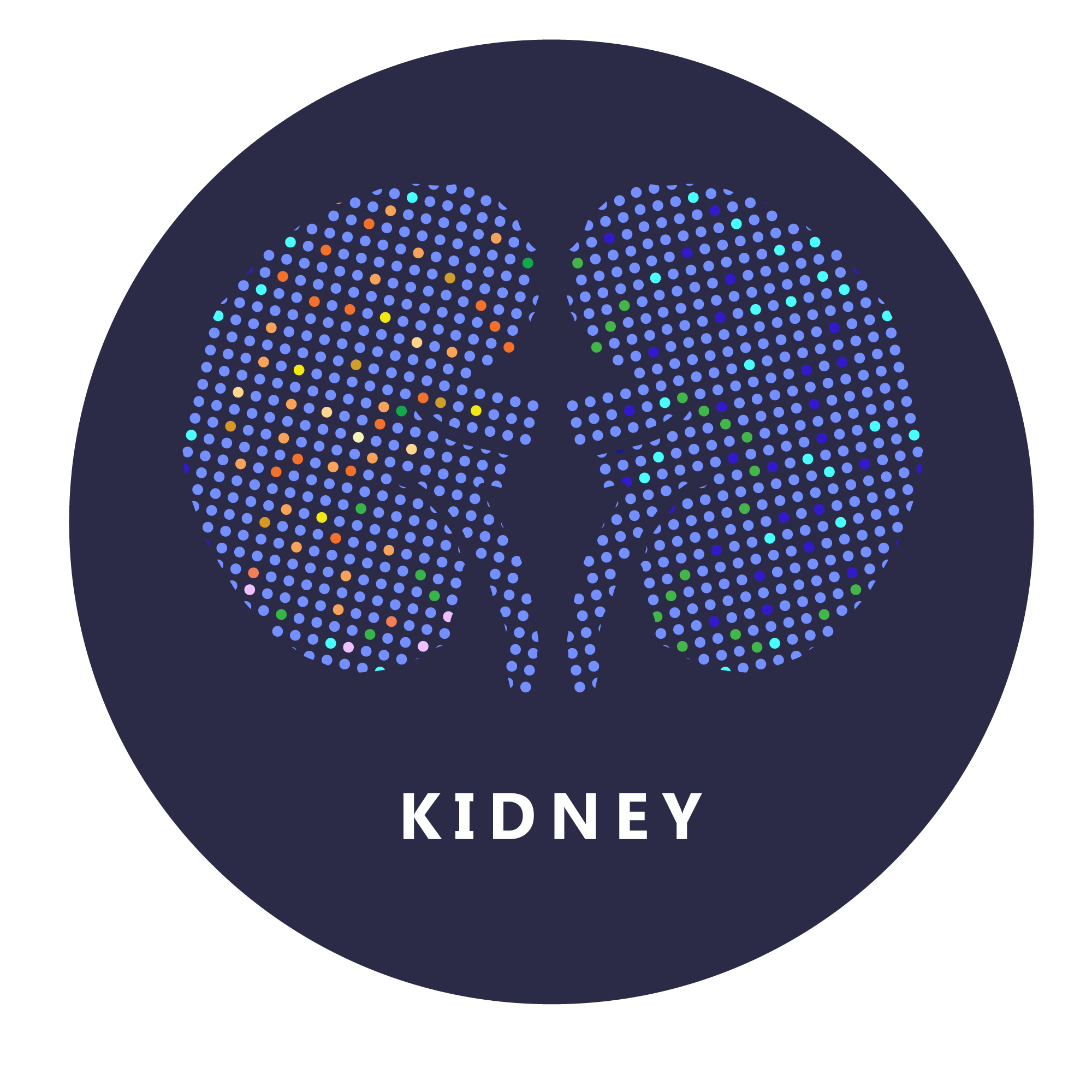 Energy Crisis in Kidney Cells: New Insights into Acute Kidney Injury