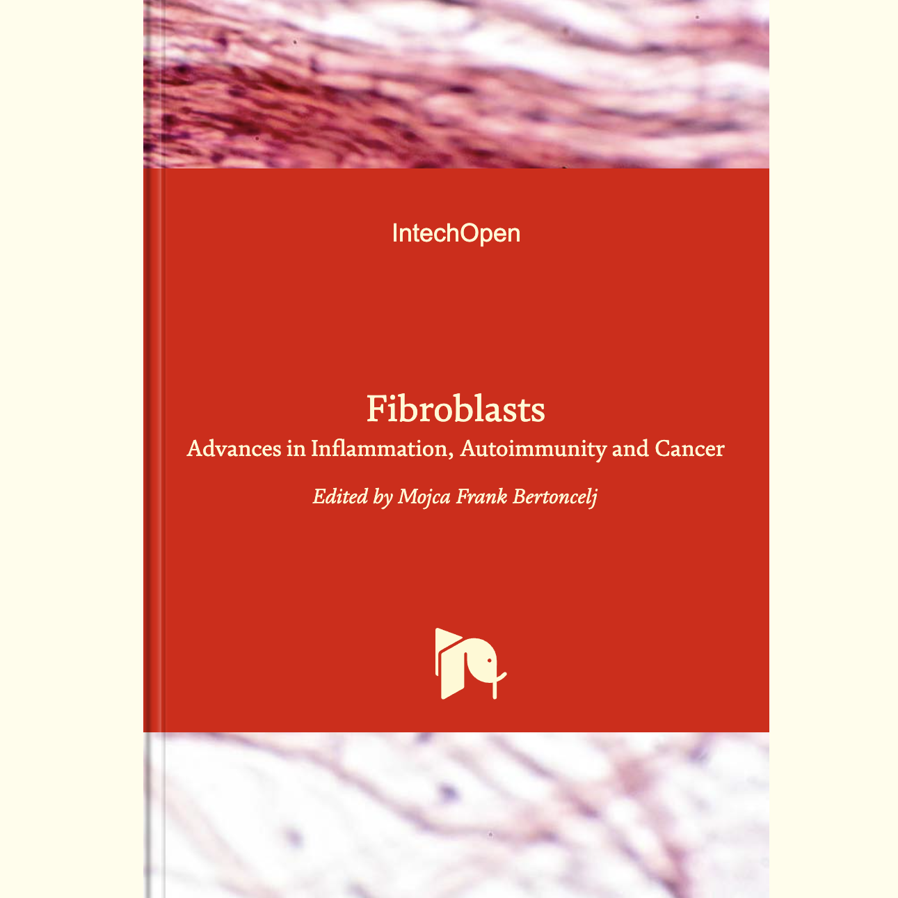 Book chapter: Heterogeneity of Fibroblasts in Healthy and Diseased Kidneys