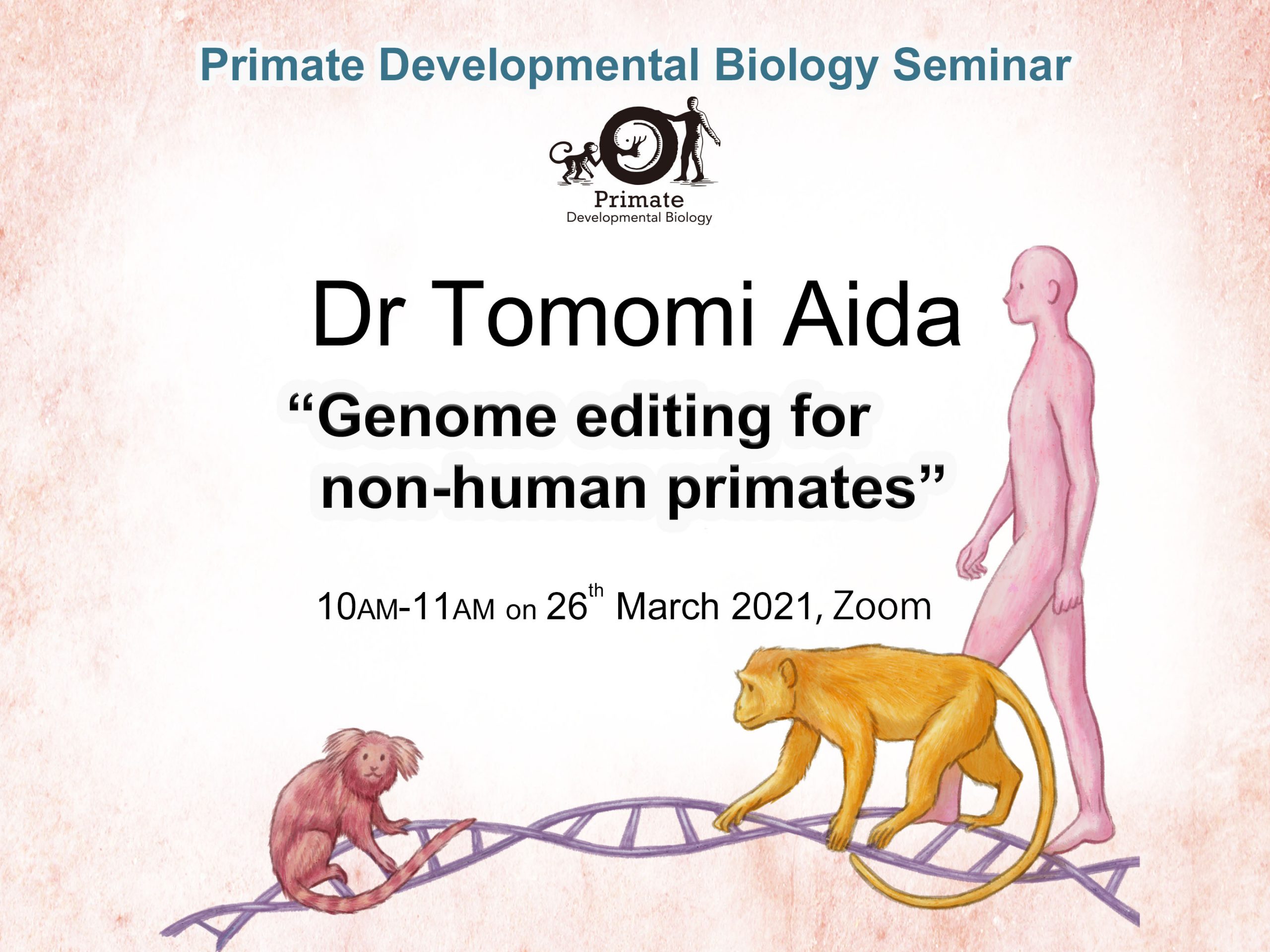 Primate Developmental Biology Seminar (Dr Tomomi Aida) | ASHBi Institute  for the Advanced Study of Human Biology