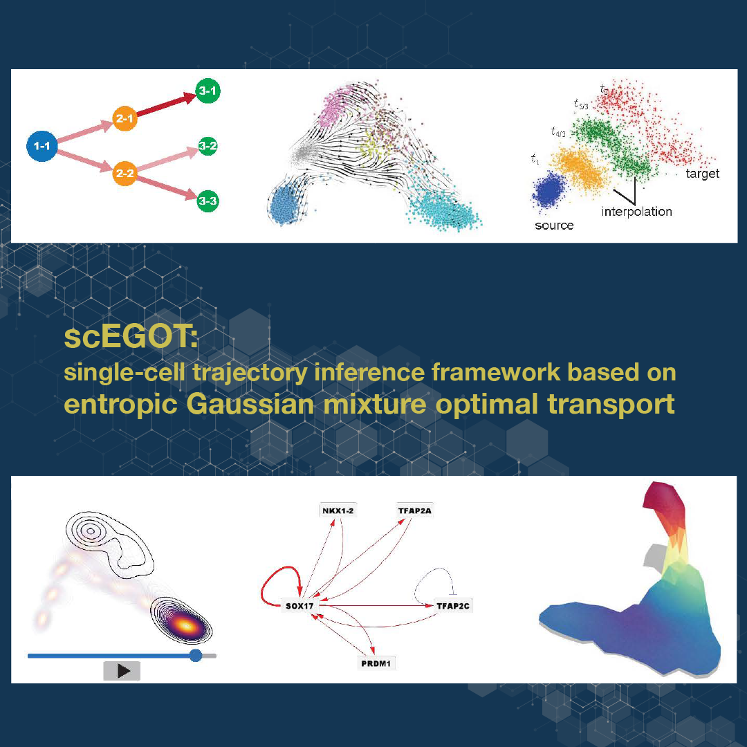 Understanding cell differentiation mechanisms through scEGOT