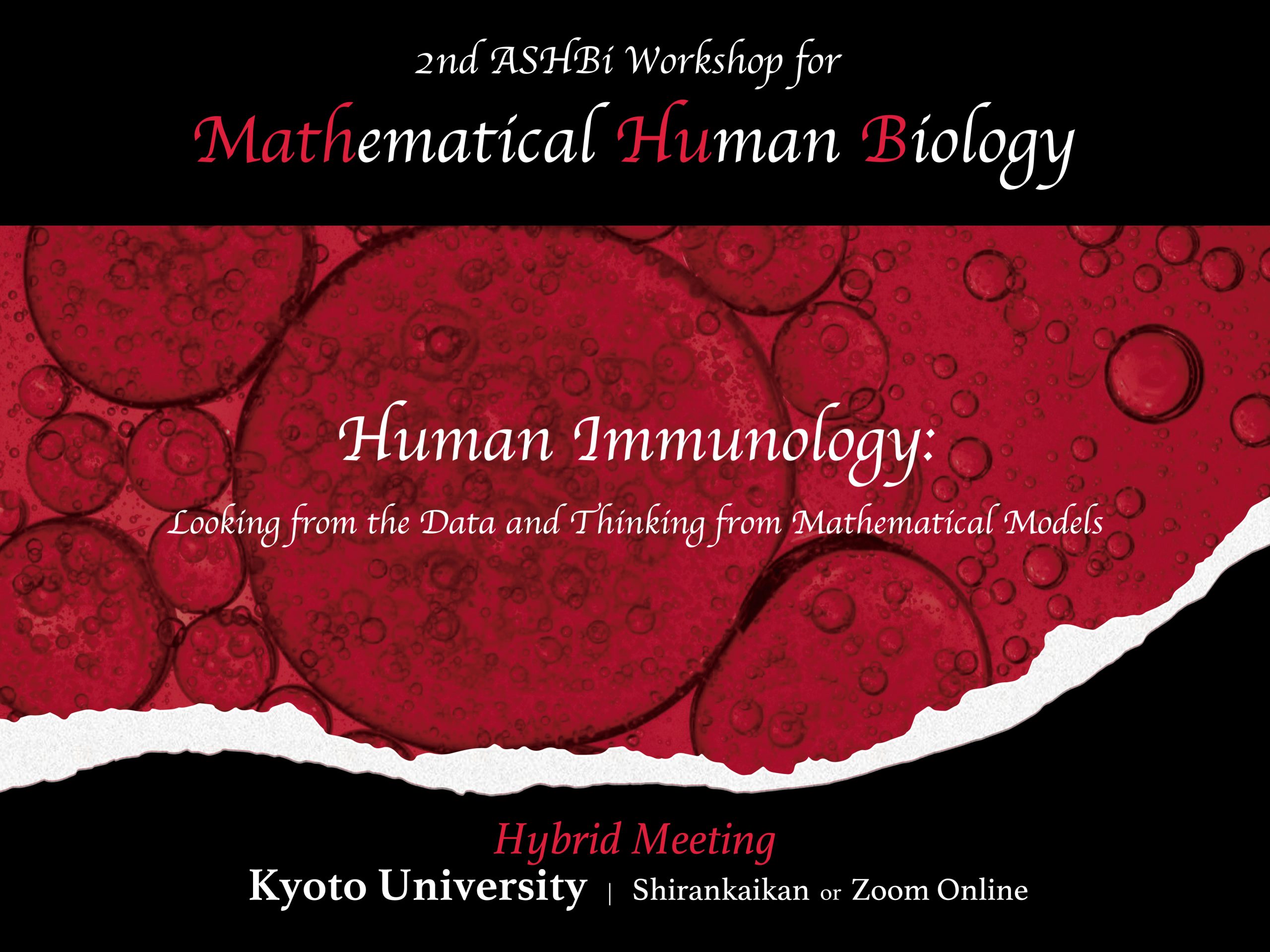 The 2nd ASHBi workshop for Mathematical Human Biology: Human Immunology –  Looking from the Data and Thinking from Mathematical Models